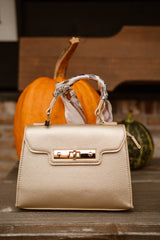 Tas Kate Goud