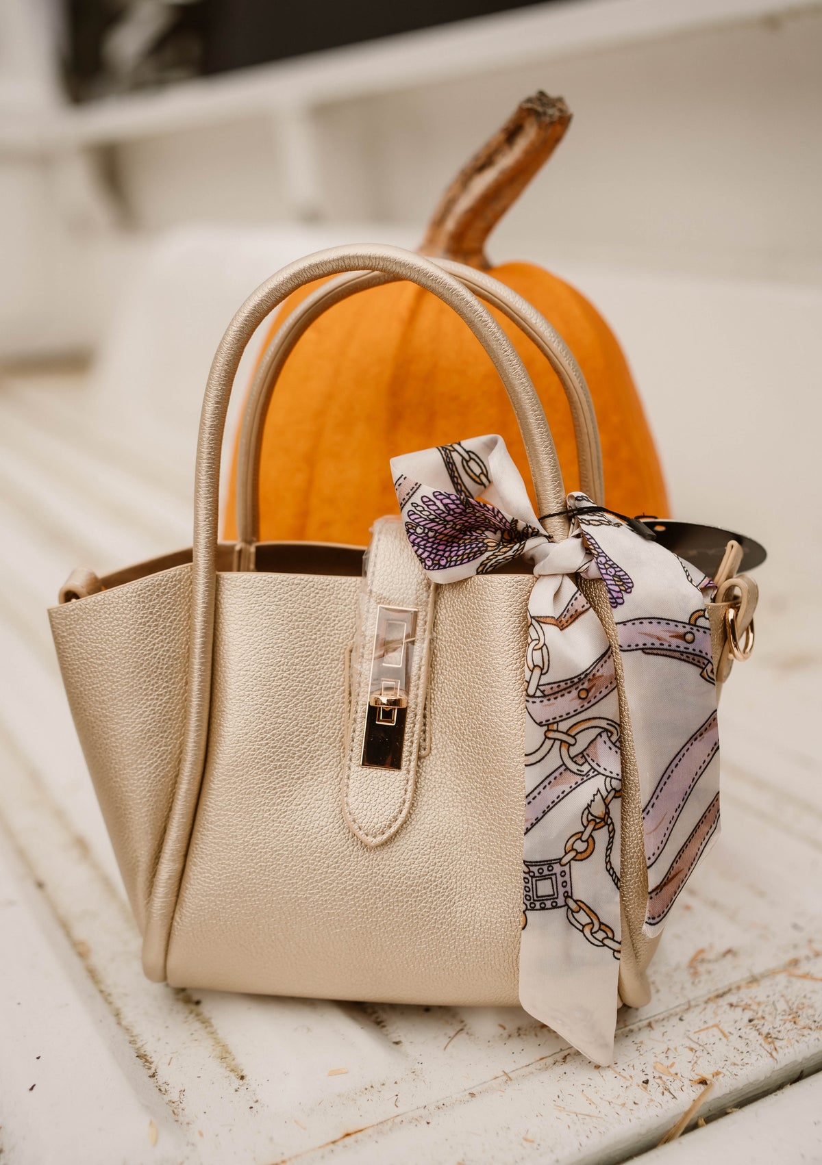 Tas Anita Goud
