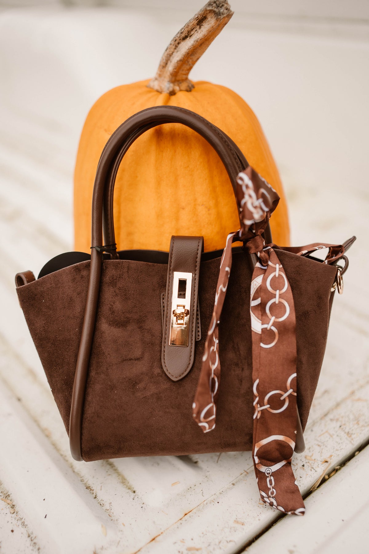Tas Anita Bruin